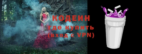 амф Верхний Тагил