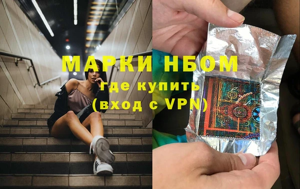амф Верхний Тагил