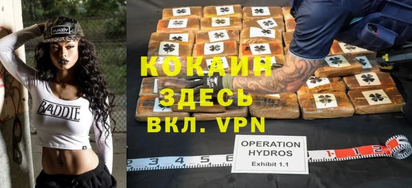 амф Верхний Тагил