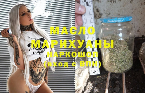 амф Верхний Тагил