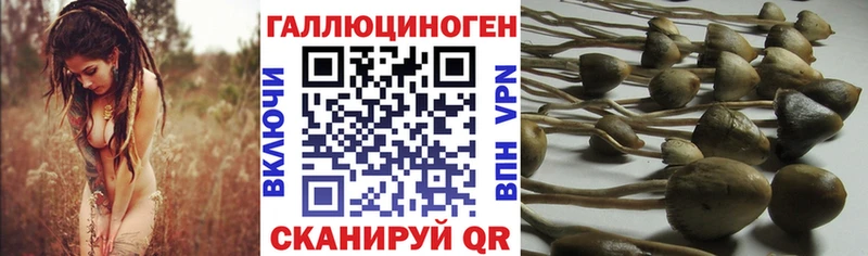Галлюциногенные грибы MAGIC MUSHROOMS  Купить  Сортавала 